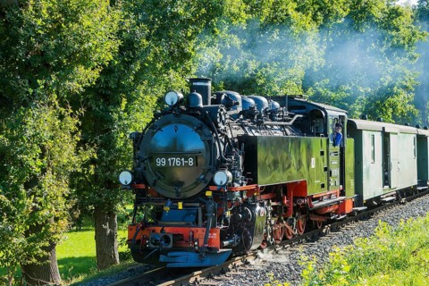 For the annual line birthday of the Lößnitzgrundbahn, many special trains from different eras of
