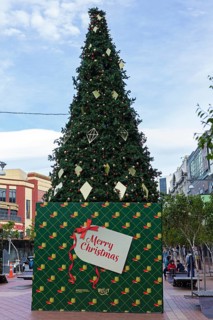 Christmas tree, city centre, Wellington, New Zealand, Oceania