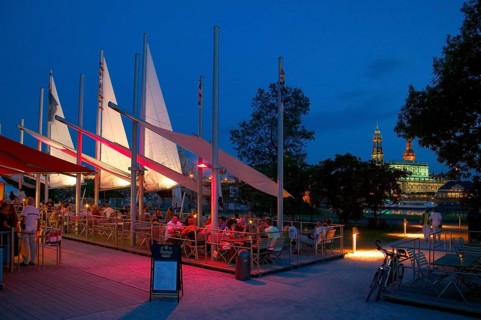 Elbe swift in the Bellevue garden on the Elbe