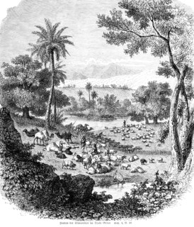 Flocks of the Simeonites in the Valley of Gedor, valley, country sheep, mountains, flock of sheep,