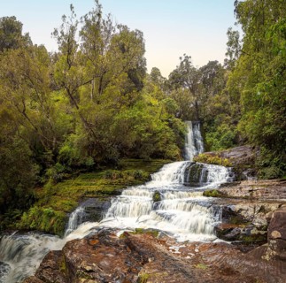 McLean Falls, Tautuku River, Otago, Neuseeland