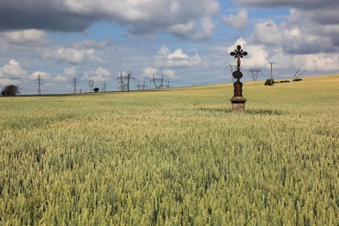 Field cross in a wheat field, in the background power lines, near Dukovany, Czech Republic, Grain