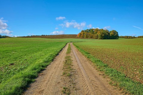 Field path, field landscape, grain field, forest, sky, clouds, Duttenbrunn, Zellingen, Würzburg,