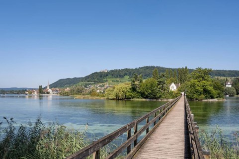 Wooden bridge over the Rhine to the monastery island of Werd, Franciscan convent, on the left the