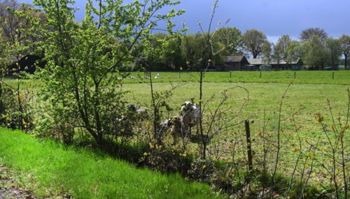 NL, Eesergroen: Spring characterises the landscape, towns and people in the province of Drenthe in
