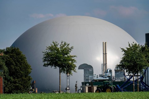 Biogas plant, storage silos, large buffer tank for hot water for intermediate energy storage,