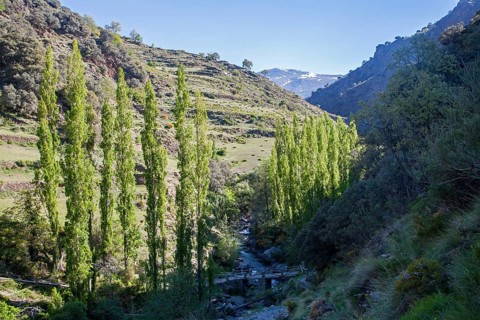 Landscape of the River Rio Poqueira gorge valley, High Alpujarras, Sierra Nevada, Granada Province,