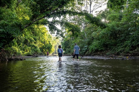 Young woman and man in the tropical rainforest crossing a stream, tourists wading through a stream,