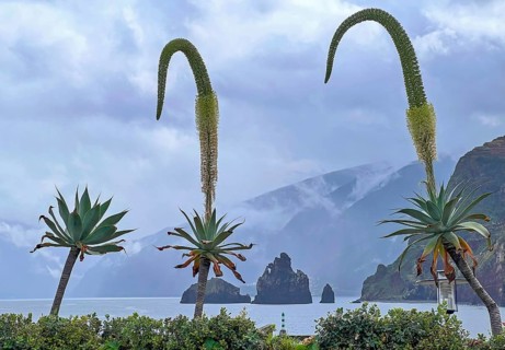Porto Moniz, north-west of Madeira Island, natural volcanic basin, view of Praia da Ribeira da