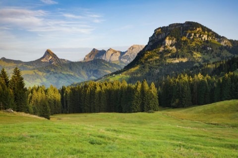 View from the Sattelegg with Gross Aubrig in the foreground and Chöpfenberg, Tierberg, Bockmattli