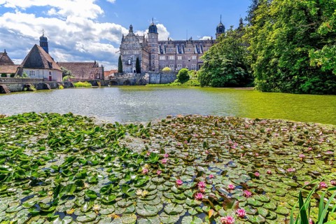 Castle pond with water lilies in front of Hämelschenburg Castle, Weser Renaissance castle,