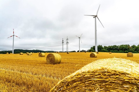 Power lines, high-voltage power lines, wind turbines, grain field, north-east of Höxter, North