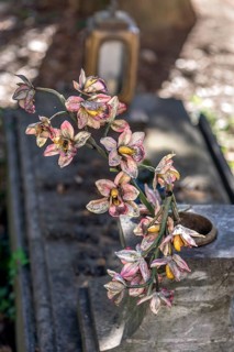 Faded plastic flowers on a grave in the Staglieno Monumental Cemetery, Cimitero Monumentale di
