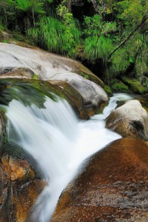 Small waterfall, Cleopatra's Pool, Abel Tasman National Park, Nelson Region, South Island New