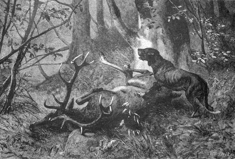 Hunting dog on a dead stag, Historical, digitally restored reproduction from a 19th century