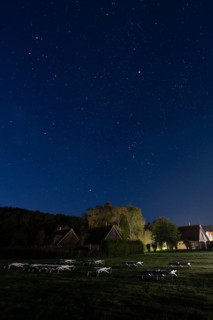 Starry sky, starry night, Beech Resort am Plauer See, Ganzlin, Mecklenburg-Vorpommern, Germany,