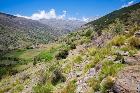 Landscape of the River Rio Poqueira gorge valley, High Alpujarras, Sierra Nevada, Granada Province,