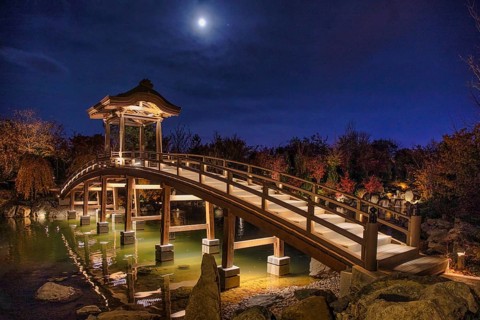 Japanese park, Krasnodar, Russia, Europe