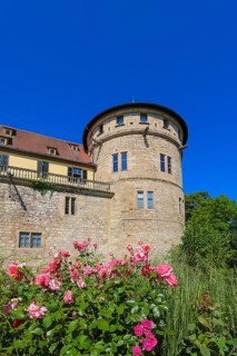 Hohentübingen Palace, tower, masonry, Museum of the University of Tübingen MUT, university
