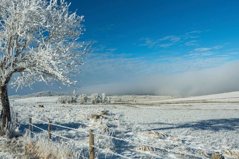 Aubrac plateau in winter. Lozere departement. Occitanie. France