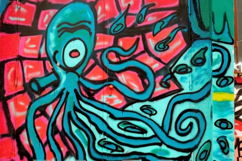 A colourful graffiti of an octopus with outstretched tentacles on an urban wall,