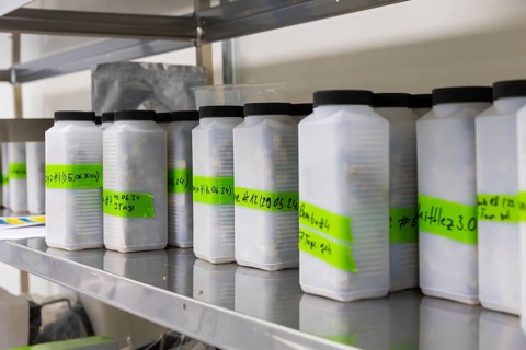 DEU/Saxony/Ebersbach The Saxon cannabis producer Demecan is now the first German company to be