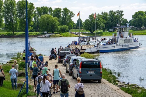 Rhine ferry Urdenbach-Zons, on the Urdenbachen Kämpe, Lower Rhine cultural landscape, Düsseldorf,