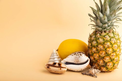 Ripe pineapple, melon, seashells on orange pastel background. Side view, copy space. Tropical,