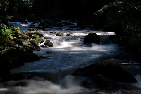 River Wesenitz, Liebethaler Grund, part of the Malerweg, summer, Saxon Switzerland, Saxony,