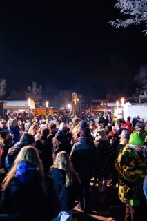 Tightly packed crowd celebrates carnival at night in winter, carnival, Schellbronn night parade,