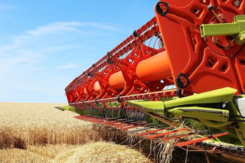 Harvesting grain with a combine harvester in a field near Ludwigshafen