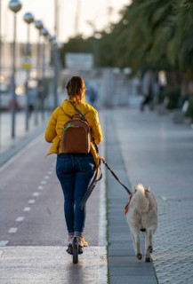 Young woman on an e-scooter and a dog on a lead, on the seafront promenade of Palma de Majorca,