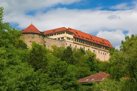 Hohentübingen Palace, Museum of the University of Tübingen MUT, higher education institution,
