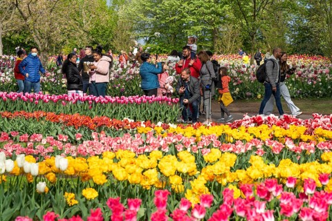 The Keukenhof, gardens, amusement park, spring park, spring flower show, near Lisse, South Holland,