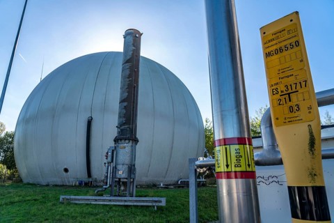 Biogas storage, biogas treatment plant, purification of biogas from organic waste, green waste and