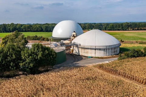 Biogas plant, gas storage, with dome, fermenter tanks for the fermentation process, use of solid