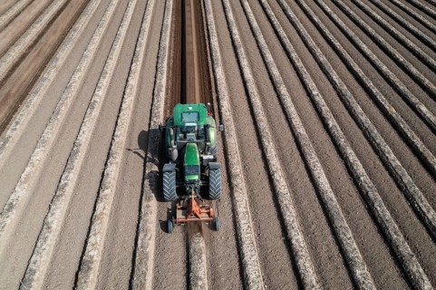 A farmer builds asparagus ridges on a field with the help of an asparagus tiller, in which the