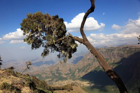 In the highlands of Abyssinia, in the Semien Mountains, landscape in the Semien Mountains National
