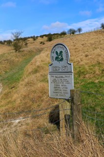 Cherhill Down Oldbury castle, National Trust sign, North Wessex Downs, Wiltshire, England, UK