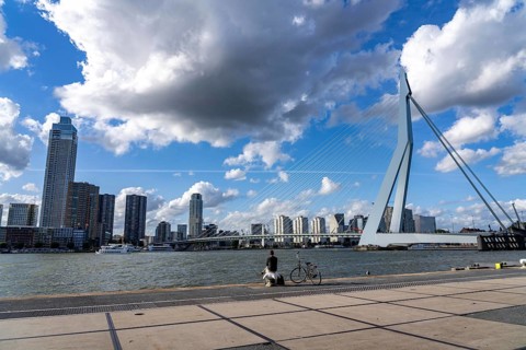 Skyline at the Nieuwe Maas, Erasmus Bridge, skyscrapers, man taking a break at the riverbank,