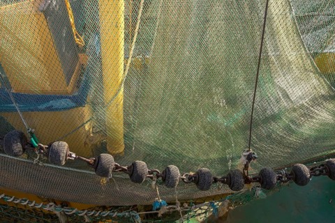 Fishing nets on a shrimp cutter, Greetsiel, Krummhörn, East Frisia, Lower Saxony, Germany, Europe