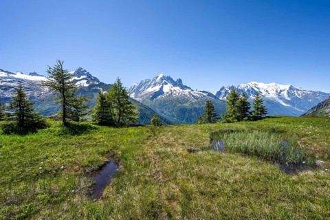 Mountain panorama with glaciated mountain peaks, Aiguille Verte with Aiguille du Midi and Mont