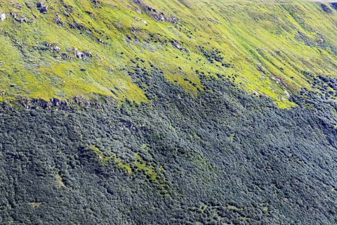 Landscape of the Swiss Alps above the tree line. Mountain slope on the Furka Pass near Obergoms,