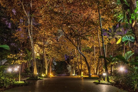 Decorative night lighting in the Botanic Garden of Singapore