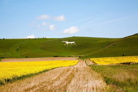 White horse figure carved in chalk scarp slope at Alton Barnes, Wiltshire, England, United Kingdom,