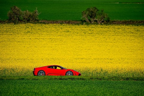 Country road by a flowering rape field, landscape near Mülheim an der Ruhr, Germany, Europe