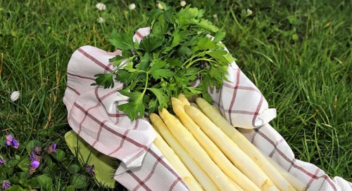 White asparagus decorated in a wooden crate
