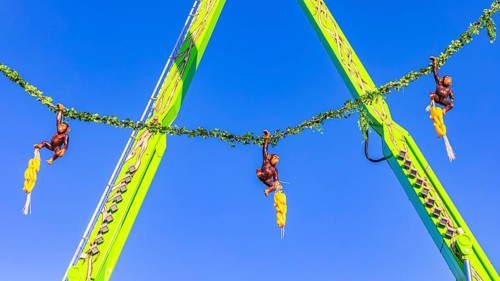 Monkey swing, Oktoberfest, Festwiese, Theresienwiese, Munich, Upper Bavaria, Bavaria, Germany,