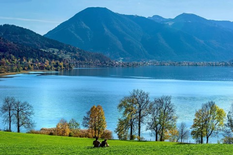 Tegernsee with Wallberg, couple sitting on a green meadow and looking at the lake, trees