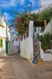 Narrow cobbled alley in the old town of Eivissa, Ibiza Town, Ibiza, Balearic Islands, Mediterranean